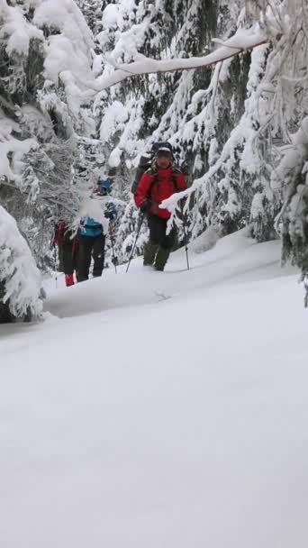 Trzech Mężczyzn Plecakach Butach Śnieżnych Spaceruje Szlakiem Podczas Zimowej Wędrówki — Wideo stockowe