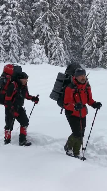 Escursionisti Una Escursione Invernale Andare Oltre Segni Del Sentiero — Video Stock