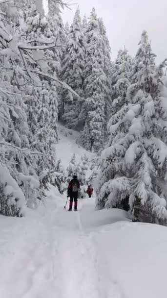 Due Uomini Con Zaini Racchette Neve Camminano Sul Sentiero Escursione — Video Stock