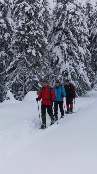 Turyści Plecakami Rakietami Śnieżnymi Spacerują Szlakiem Podczas Zimowej Wędrówki — Wideo stockowe