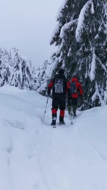 Wanderer Mit Rucksack Und Schneeschuhen Wandern Den Weg Auf Einer — Stockvideo