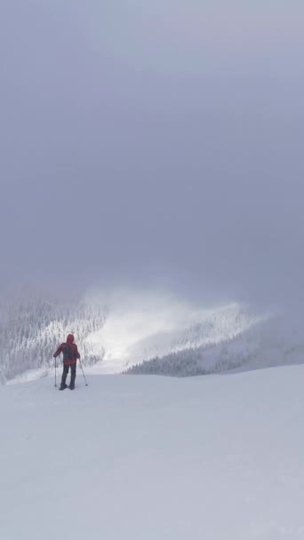 Dos Excursionistas Descienden Montaña Zona Forestal Una Caminata Invierno — Vídeos de Stock