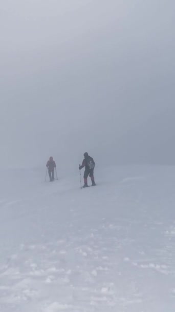 Wanderer Steigen Bei Winterwanderung Vom Berg Ins Waldgebiet — Stockvideo