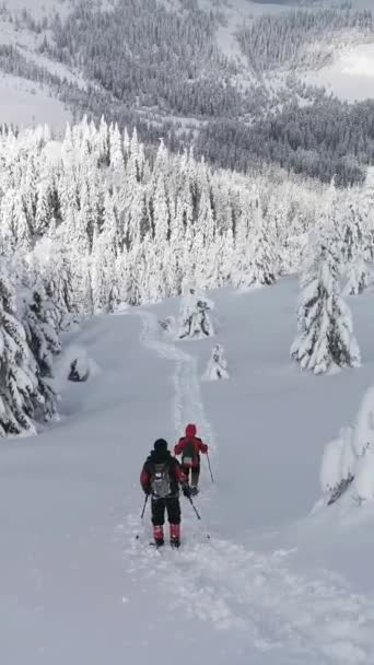 Turyści Schodzą Góry Teren Leśny Podczas Zimowej Wędrówki — Wideo stockowe