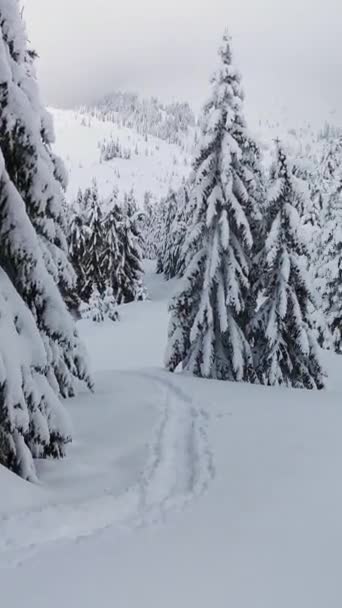 Bellissimo Paesaggio Invernale Durante Escursioni Nelle Montagne Invernali Luogo Nascita — Video Stock