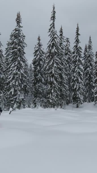 Três Homens Uma Caminhada Inverno Andando Rapidamente Sapatos Neve Neve — Vídeo de Stock