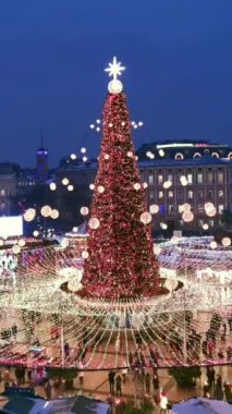 Kiev, Ukrayna 'da Noel ağacı. Sofievskaya Meydanı 'nda Noel tatili kutlaması. Dikey Video. 
