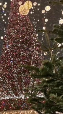 Karlı bir kış akşamında bir Noel ağacı. 