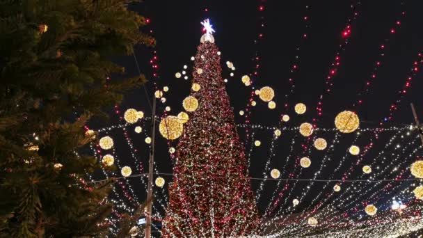 Χριστουγεννιάτικο Δέντρο Γιρλάντα Φώτα Νύχτα — Αρχείο Βίντεο