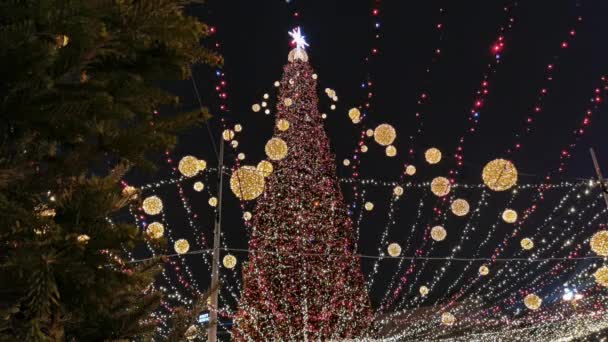 Geceleyin Noel Ağacındaki Işıklar — Stok video
