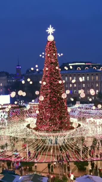 우크라이나 키예프의 크리스마스 트리입니다 크리스마스 기념은 스카야 광장이다 — 비디오