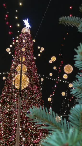 Árbol Navidad Por Noche Las Luces Las Guirnaldas Vídeo Vertical — Vídeos de Stock