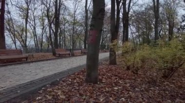 Ukrayna 'nın başkenti Kyiv' de terk edilmiş bir park.