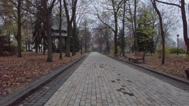 Elhagyott Park Központi Részén Kijev Ukrajna — Stock videók