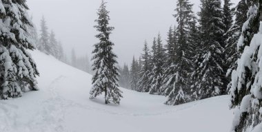 Winter landscape in the Ukrainian Carpathians. 