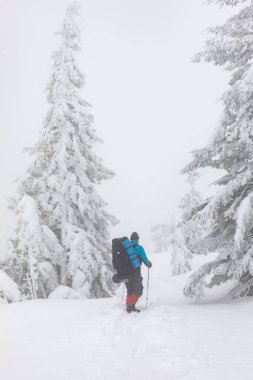 A hiker with a backpack walks along a trail in a winter hike. 
