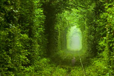 Ukrayna 'nın Klevan kentindeki Aşk Tüneli, tren yolu boyunca ağaç kemerleri ve çalılardan oluşan pitoresk doğal bir tüneldir. Yaklaşık 3-5 kilometre uzunluğunda, yemyeşil ile çevrili. Yerel efsaneye göre, buradan geçen çiftler 