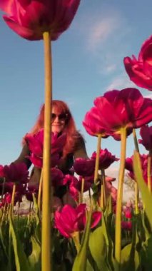 Çiçek açan laleleri keşfeden bir kadının dikey videosu