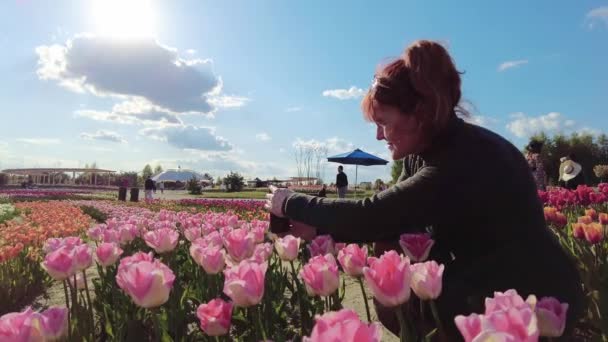 Жінка Захоплює Красу Тюльпанів Своєю Телефонною Камерою — стокове відео