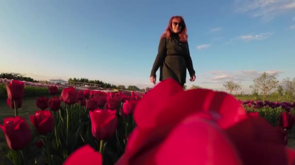 Alacakaranlıkta Çiçek Açan Laleleri Keşfeden Bir Kadının Uhd Videosu — Stok video