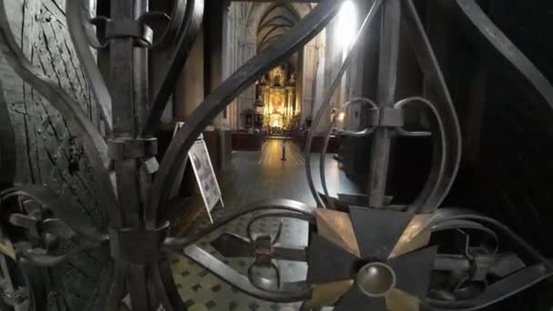 Basílica Asunción Santísima Virgen María Generalmente Llamada Simplemente Catedral Latina — Vídeo de stock