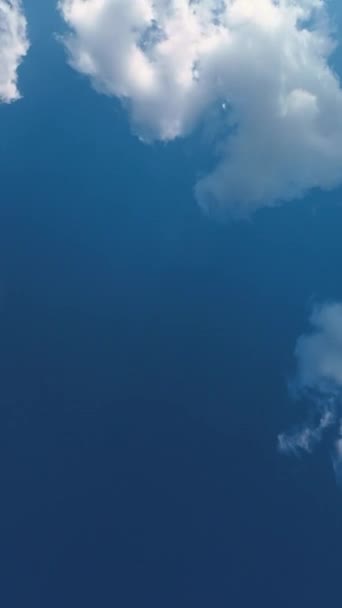 Modrá Obloha Kontrastuje Červenobílými Tulipány Svislé Video — Stock video