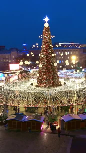 Albero Natale Con Molte Ghirlande Illumina Piazza Santa Sofia Vigilia — Video Stock