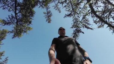 Mavi gökyüzünün önünde bir adam ve güneşli bir günde bir ağacın tacı. Düşük Açı Görünümü