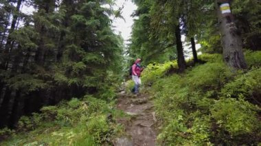 Bir kadın ormanda yürüyüş yaparken işaretli bir patikadan aşağı iniyor. Yürüyüş sopaları kullanıyor.