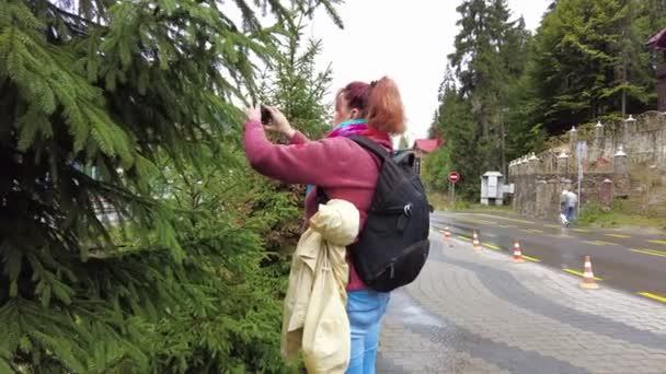 Woman Backpack Takes Photo Local Surroundings — Stock Video