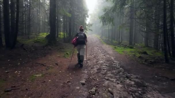 Женщина Идет Лесной Дороге Которая Забирается Горы — стоковое видео
