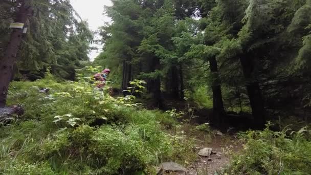 Eine Frau Geht Bei Einer Wanderung Einen Markierten Pfad Wald — Stockvideo