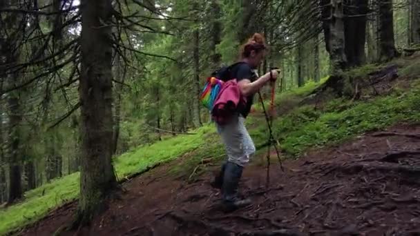 Uma Mulher Com Par Postes Trekking Está Subindo Uma Montanha — Vídeo de Stock