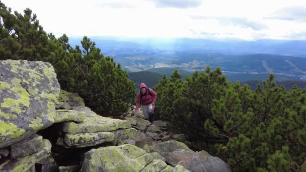 Eine Frau Klettert Beim Wandern Den Bergen Auf Die Steine — Stockvideo