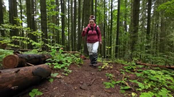 Una Mujer Con Par Bastones Trekking Está Escalando Una Montaña — Vídeos de Stock