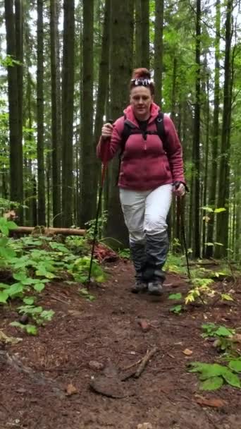 トレッキングポールのペアを持つ女性が森で山を登っています — ストック動画