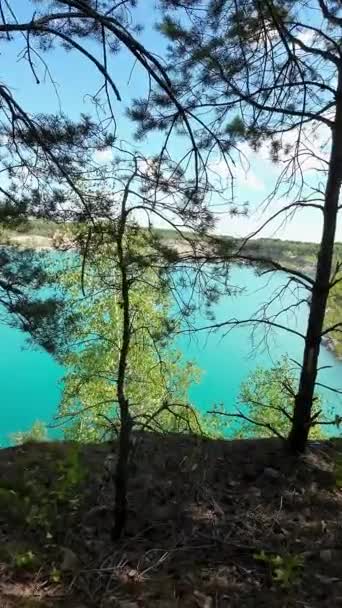 Floresta Uma Costa Lago Azul Turquesa Dia Ensolarado Verão Vídeo — Vídeo de Stock