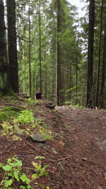 Mann Und Frau Mit Trekkingstöcken Erklimmen Beim Wandern Einen Waldweg — Stockvideo