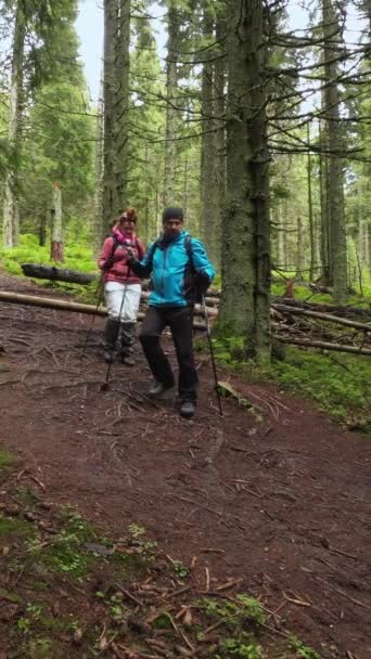 Ein Mann Und Eine Frau Mit Trekkingstöcken Gehen Beim Wandern — Stockvideo