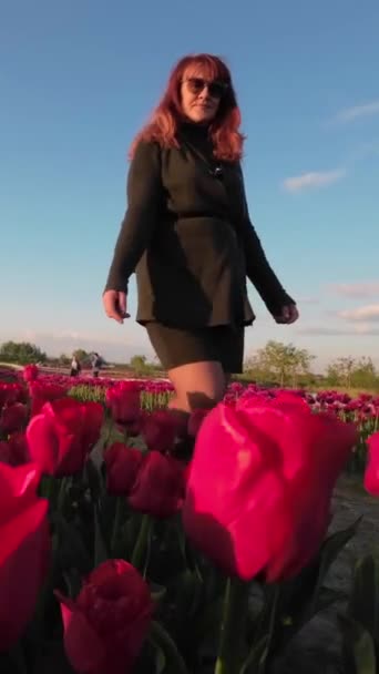 Pionowe Wideo Kobiety Badającej Pole Kwitnących Tulipanów Zmierzchu — Wideo stockowe