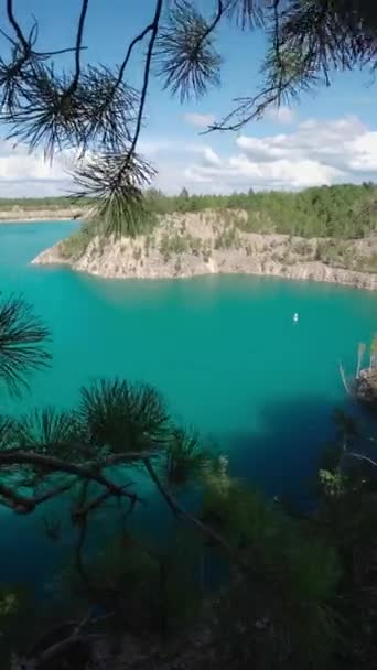 Vista Pitoresca Baía Através Dos Ramos Das Árvores Paisagem Lago — Vídeo de Stock