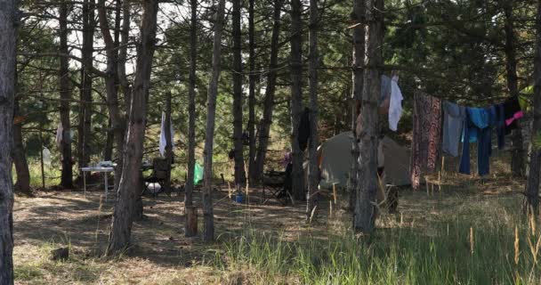 テントでリラックスしながら松林のロープに物を掛ける女性 — ストック動画