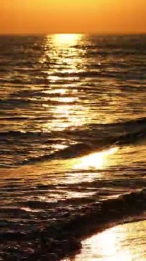 Denizin dalgaları gün batımının altın ışığında