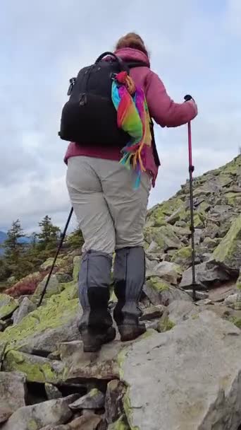 Eine Frau Erwandert Einen Berg Über Felsen Sie Benutzt Trekkingstöcke — Stockvideo