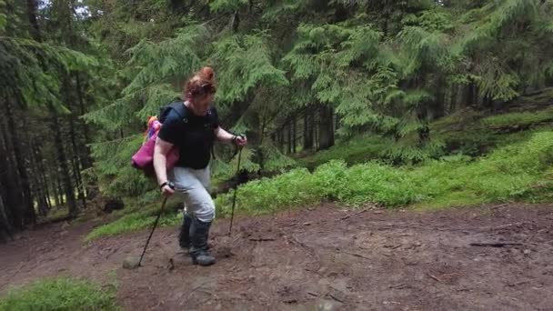 Eine Frau Mit Einem Paar Wanderstöcken Besteigt Einen Berg Wald — Stockvideo