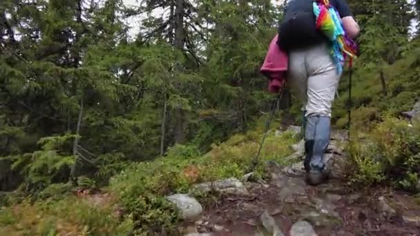 Mujer Con Bastones Trekking Sube Montaña Largo Sendero Rocoso Bosque — Vídeos de Stock
