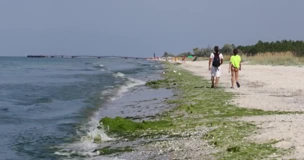 Ochakov Ucraina Agosto 2021 Uomo Una Donna Camminano Lungo Riva — Video Stock