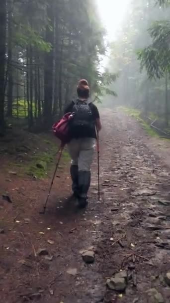 Eine Frau Geht Auf Einem Waldweg Der Die Berge Führt — Stockvideo