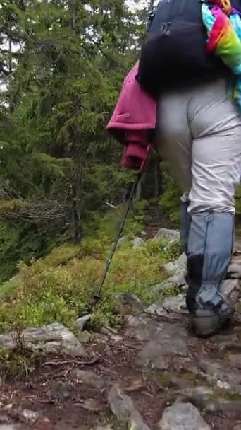 Frau Mit Wanderstöcken Erklimmt Berg Auf Felsigem Waldweg — Stockvideo