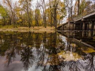 Suyun yakınındaki bir parkta sonbahar manzarası. Ağaçlar suya yansır, sonbahar havası yaratır.